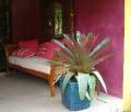 Bromeliad seat